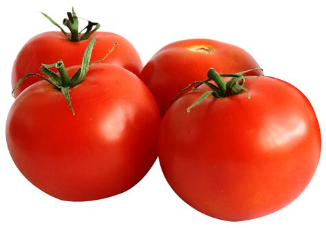 Tomatoes Transparent Png Image Freepngdesign | The Best Porn Website