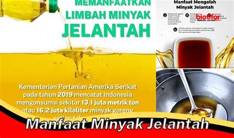 Temukan Manfaat Minyak Jelantah yang Jarang Diketahui - Biotifor