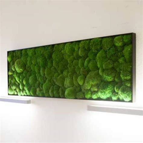 Vertical Garden Image of Moss Moss Wall Moss Art Work - Etsy