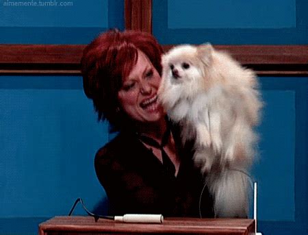 Amy Poehler as Sharon Osbourne on SNL.......hilarious!!!!!! Love, love, love these Jeopardy ...