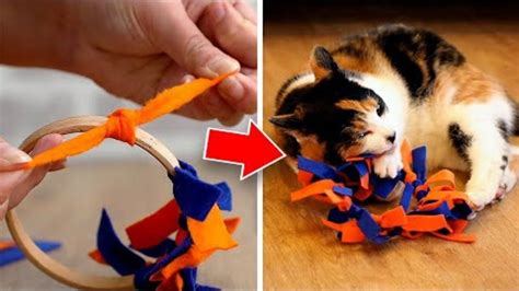 Easy To Make DIY Cat Toys Your Pet Will Love! - YouTube