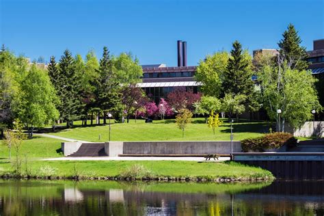 Lakehead University ties for first among Ontario's mainly undergraduate schools - TBNewsWatch.com