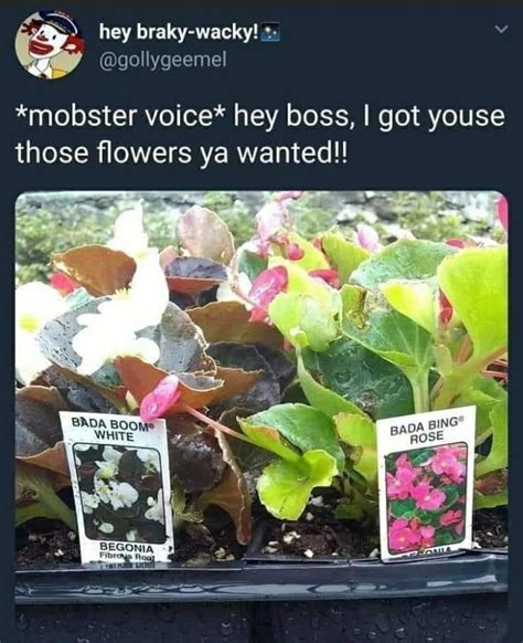 59 Plant Memes You Can’t Accidentally Kill By Casually Neglecting Them