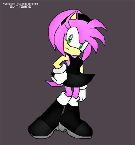 Amy Rose - Sonic the Hedgehog Fan Art (21727199) - Fanpop