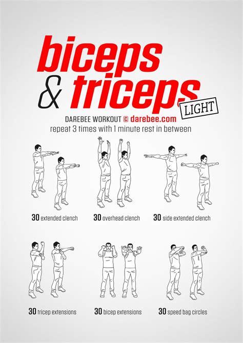 Biceps & Triceps workout. | Bicep and tricep workout, Biceps workout, Triceps workout