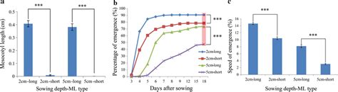 Direct-seeding emergence of long and short mesocotyl length accessions... | Download Scientific ...