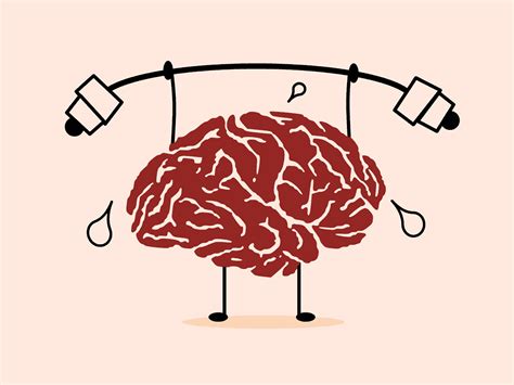 Researchers identify brain patterns associated with learning to improve teaching, fight Alzheimer's