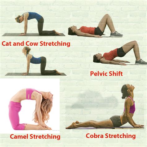 yoga stretches to make you taller