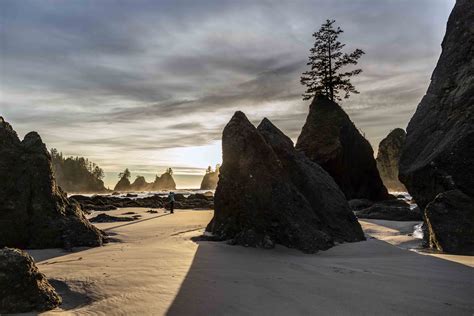 Point of the Arches and Shi Shi Beach, Olympic National Park | North ...