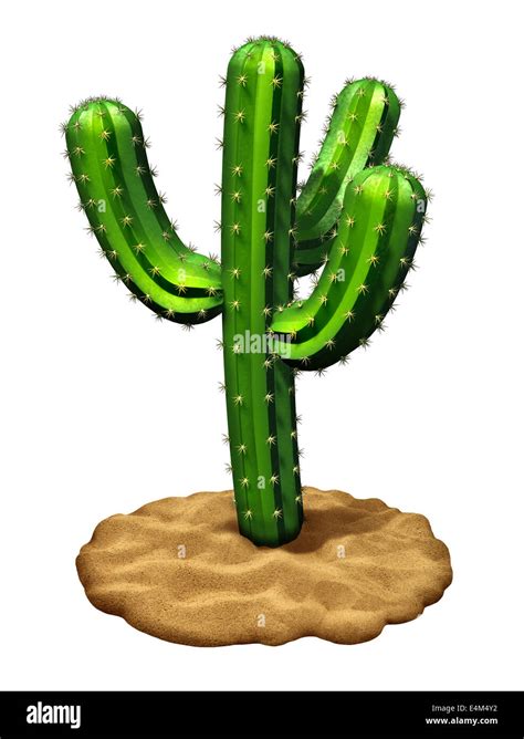 Cactus plant on a desert sand floor isolated on a white background as a three dimensional,symbol ...