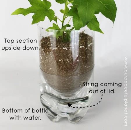 45 Self watering planters DIY ideas and tutorials - Craftionary