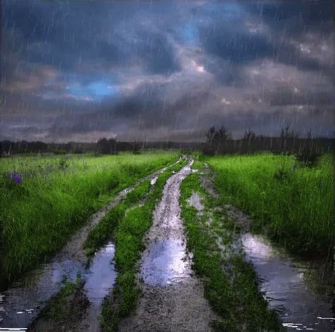 Rainy Landscape GIF - Rainy Rain Landscape - Discover & Share GIFs