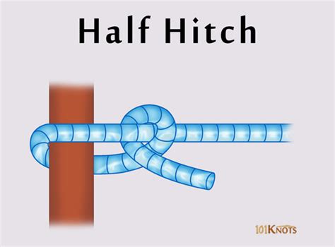 How to Tie a Half Hitch? Variations, Uses & Video Step-by-Step