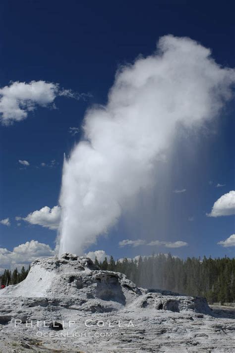 Castle Geyser erupting, Upper Geyser Basin, Yellowstone National Park, Wyoming