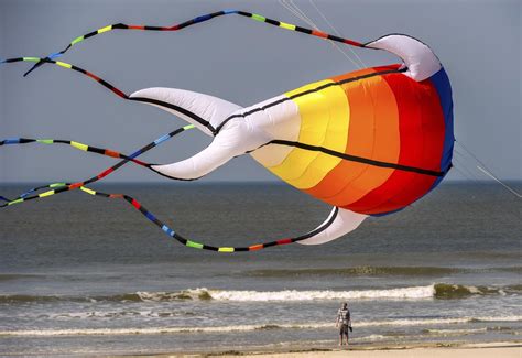 International Kite Festival - Giant kites soar at International Kite ...