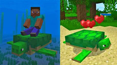 Can you ride sea turtles in Minecraft? - Rankiing Wiki : Facts, Films ...