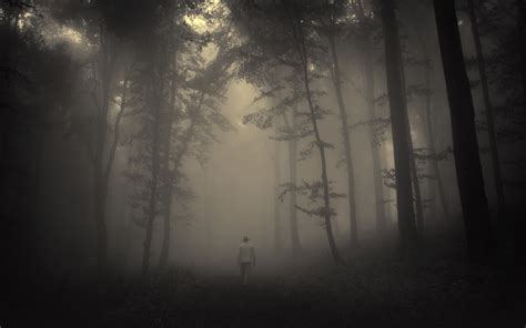 🔥 Download Creepy Foggy Wallpaper On by @larryzimmerman | Scary Fog Wallpapers, Scary Wallpapers ...