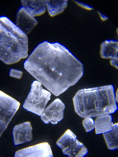 Sugar crystals under a microscope | Crystal photography, Microscopic photography, Electron ...