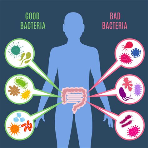 10 Evidence Based Ways to Boost Healthy Gut Bacteria