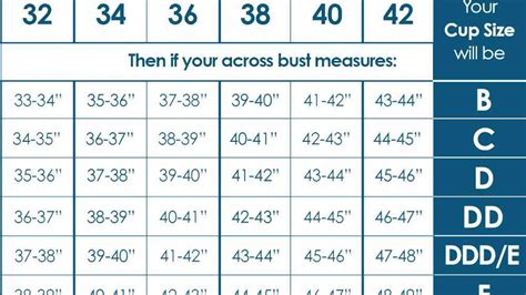 Double Z Bra Size Chart