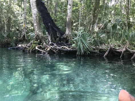 Weeki Wachee River, Weeki Wachee, FL, USA. Resolution [1920x1080 ...