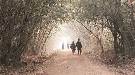 Improved air, moderate heat over Pune on Wednesday | Pune News - The ...