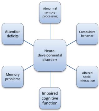 Neurexpert Blog: Translating the Latest Neuroscience Research