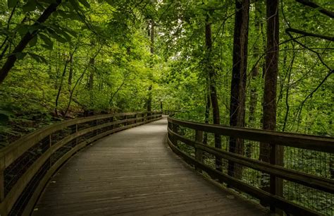 15 Beautiful Hiking Trails Near Charlottesville, Virginia