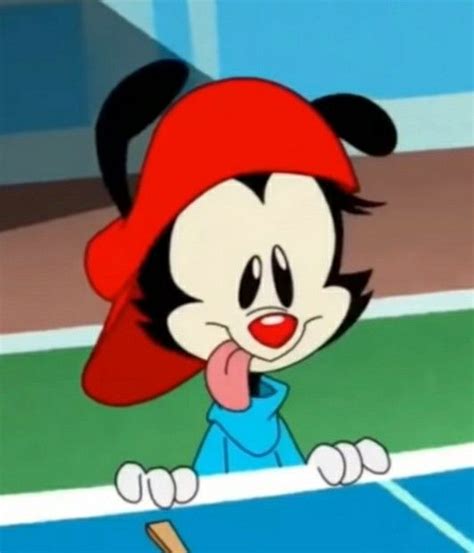 Wakko 💙 | Animaniacs, Wakko, Yakko