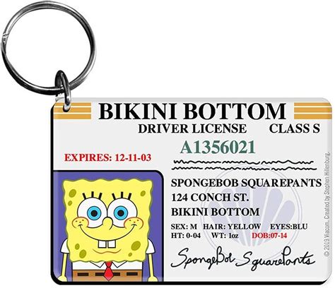 spongebob driver's license teacher - Into A Large Microblog Diaporama