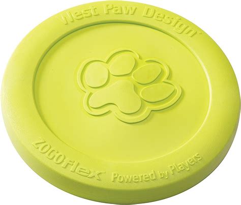 Go Fetch! Top 10 Best Fetch Toys for Your Dog