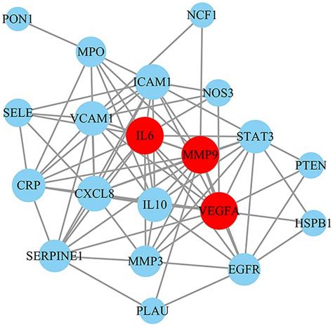 Protein-protein interaction network. | Download Scientific Diagram