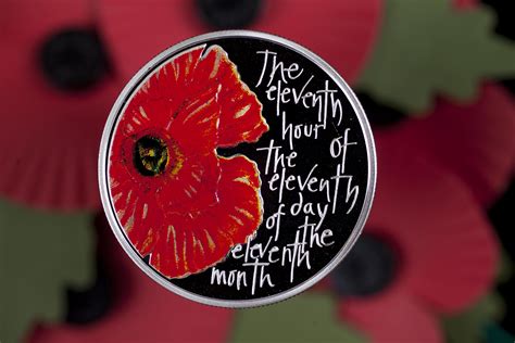 Reverse of The Royal Mint's Remembrance Day 2012 coin, against a ...