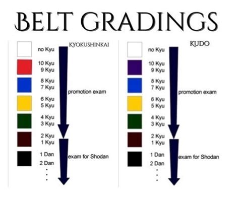 Training Syllabus