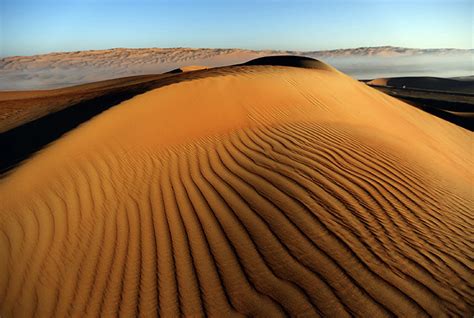 At the Liwa Desert - World - DAWN.COM