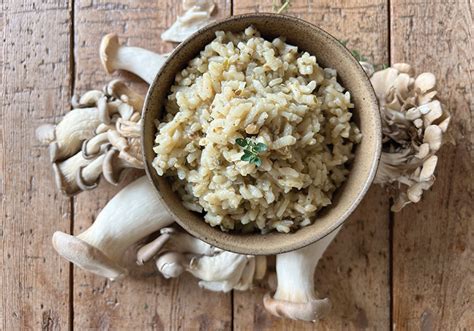 Porcini Mushroom Risotto – Finch+Fennel by Creative Co-Op