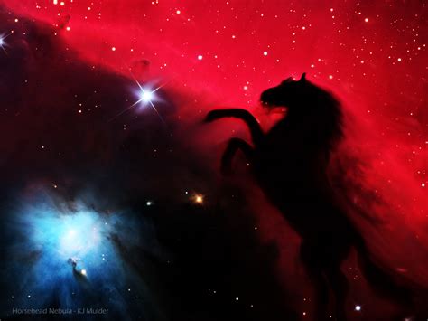 🔥 [40+] Horse Nebula Wallpapers | WallpaperSafari