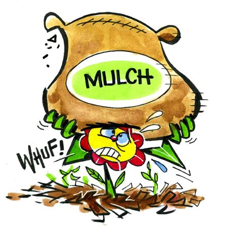 Mulch | Woodlands South