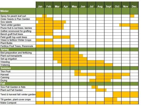 North Florida Garden schedule | Florida gardening, Prune fruit, Winter crops