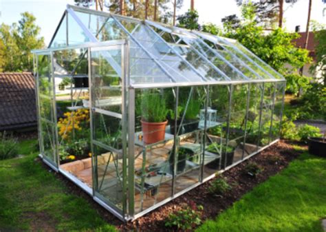 Why You Should Use a Greenhouse | Team Tractor & Equipment | Phoenix Arizona