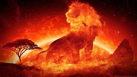 Lion Fire Wallpapers - Wallpaper Cave