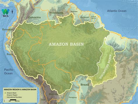 Amazon Basin- World’s largest rainforest in all of history – Things Guyana