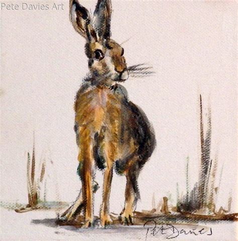 "Hare Today" (Original art by Pete Davies Art)