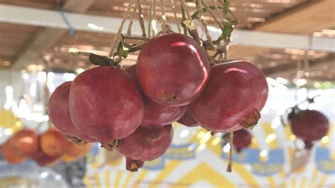 The Perfect List of Sukkah Decorations Ideas for Sukkot - B'nai Mitzvah Academy