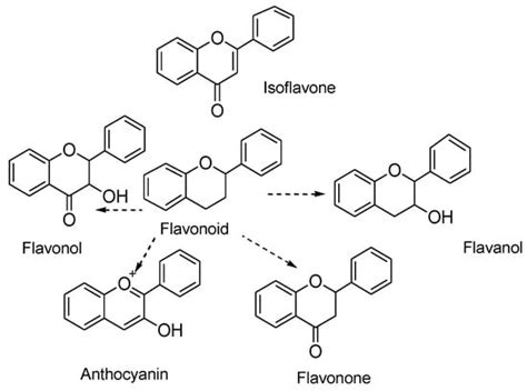 Molecules | Free Full-Text | Important Flavonoids and Their Role as a ...