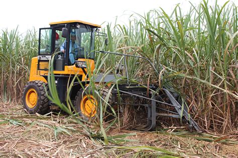 SH15 Cane Harvester, Sugarcane Cutter,sugar Cane Harvesting Machine - Tropical Agricultural ...