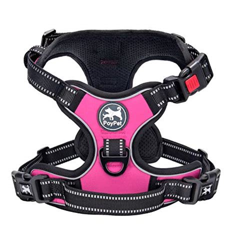 Best Back-Clip Dog Harness For your Four-Legged Friend