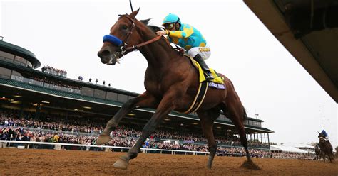 American Pharoah the first unanimous choice for Horse of the Year since ...