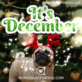 Funny December Gifs