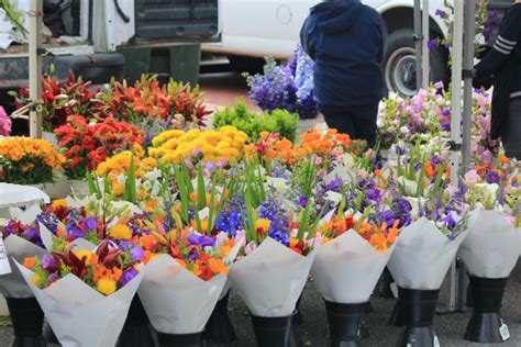 Broadway Farmers Market - Tacoma Farmers Market - One Hundred Dollars a Month